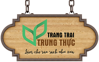 logo_header